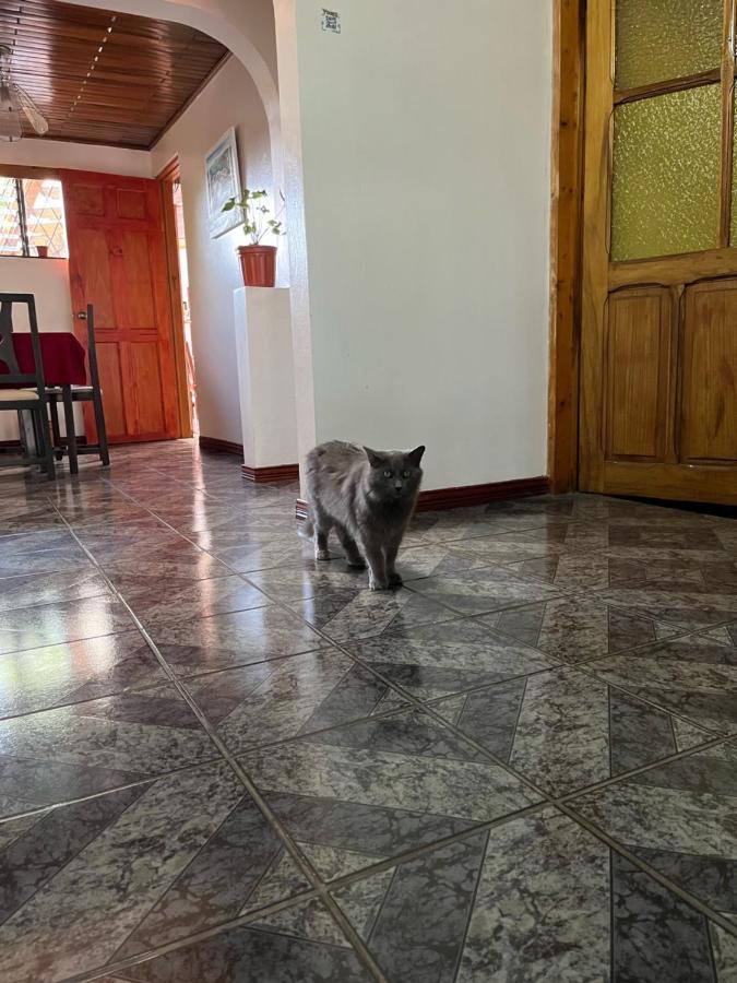 El Mochilero Appartement Cartago Buitenkant foto